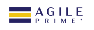 AGILE PRIME BLUE Conventional De-palletizing