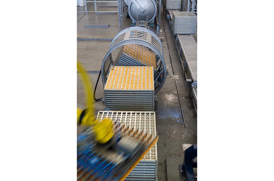 Plastic Containers Plastic Containers HG Molenaar
