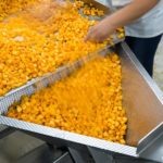 Plastic Containers Plastic Containers HG Molenaar