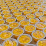 Plastic Containers Plastic Containers HG Molenaar