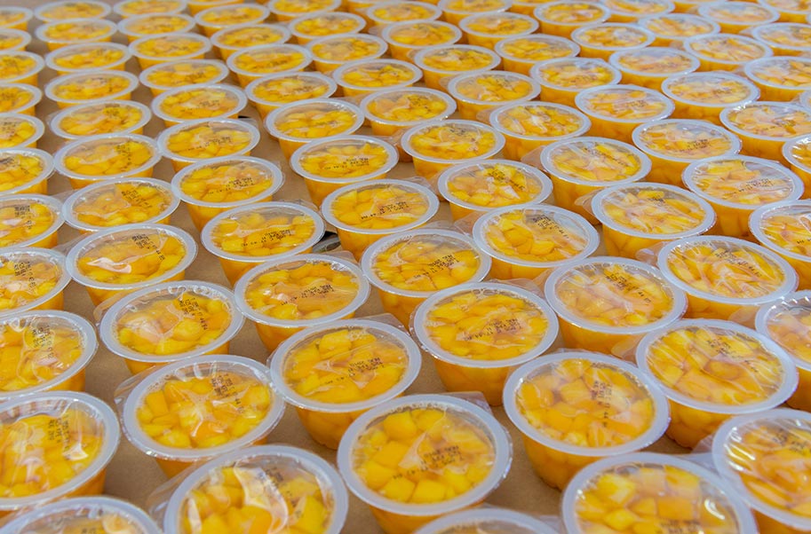 Plastic Containers Plastic Containers HG Molenaar
