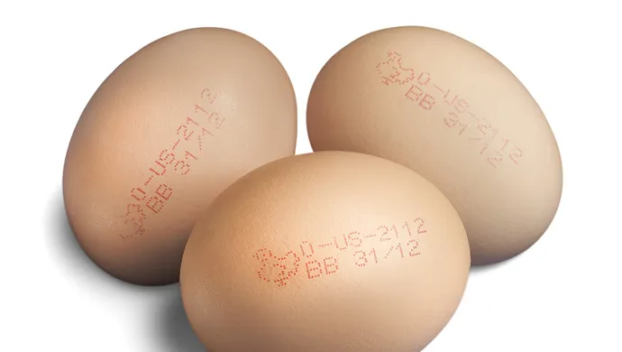 Sept 2022 690x390-eggs-2 Coding